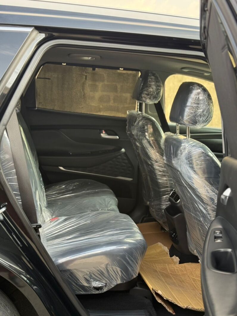 
								HUNDAY SANTA FE ULTIMATE full									