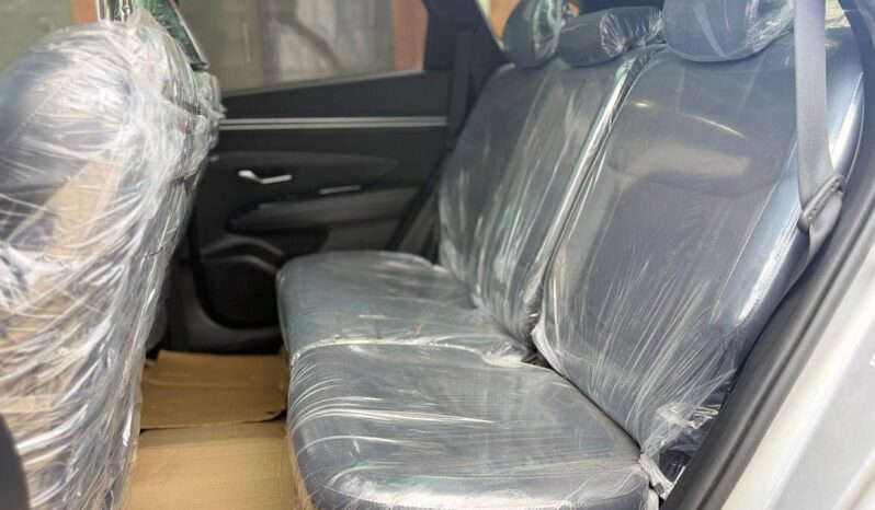 
								HYUNDAI TUCSON  ULTIMATE full									